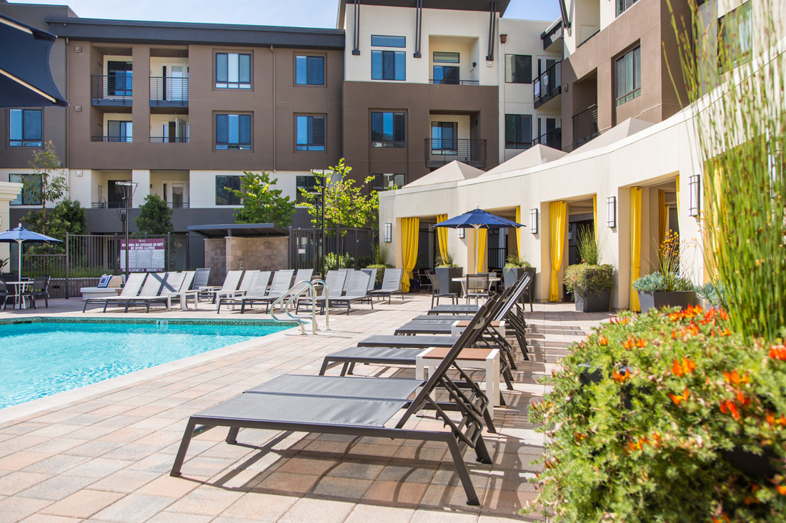 Venue Apartments